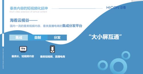 三晉論道，共話未來 ?？垂煞菰S璐璐談精品垂類內容產業(yè)化與河北網站開發(fā)的協(xié)同發(fā)展