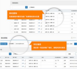 紫博藍攜手神馬，推出全新排名查詢Web應用，助力河北網站開發數字化轉型